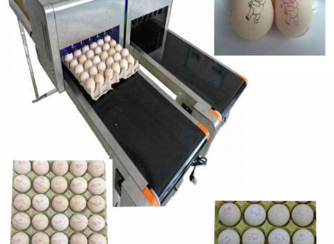 خرید و قیمت جت پرینتر تخم مرغی + فروش صادراتی